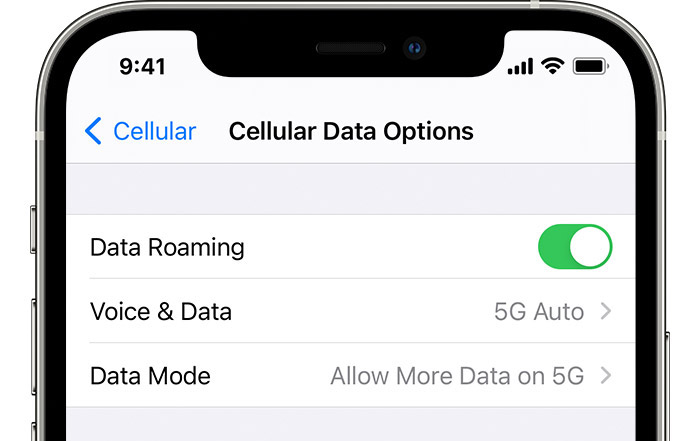 allow more 5g data iPhone - 5G cellular data options
